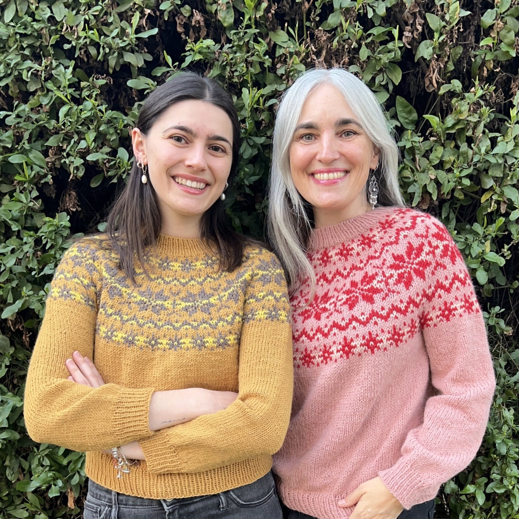 Clase con Patrón Sweater Copos de Nieve | Adulto