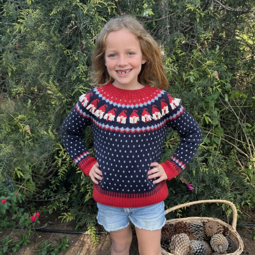 Clase Sweater Gnomos | Infantil