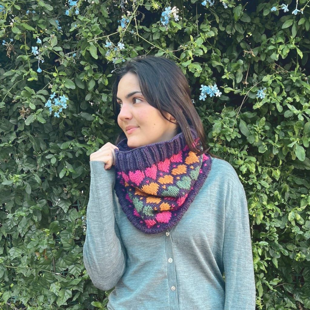 Taller de Tejido Cuello de Jacquard Circular