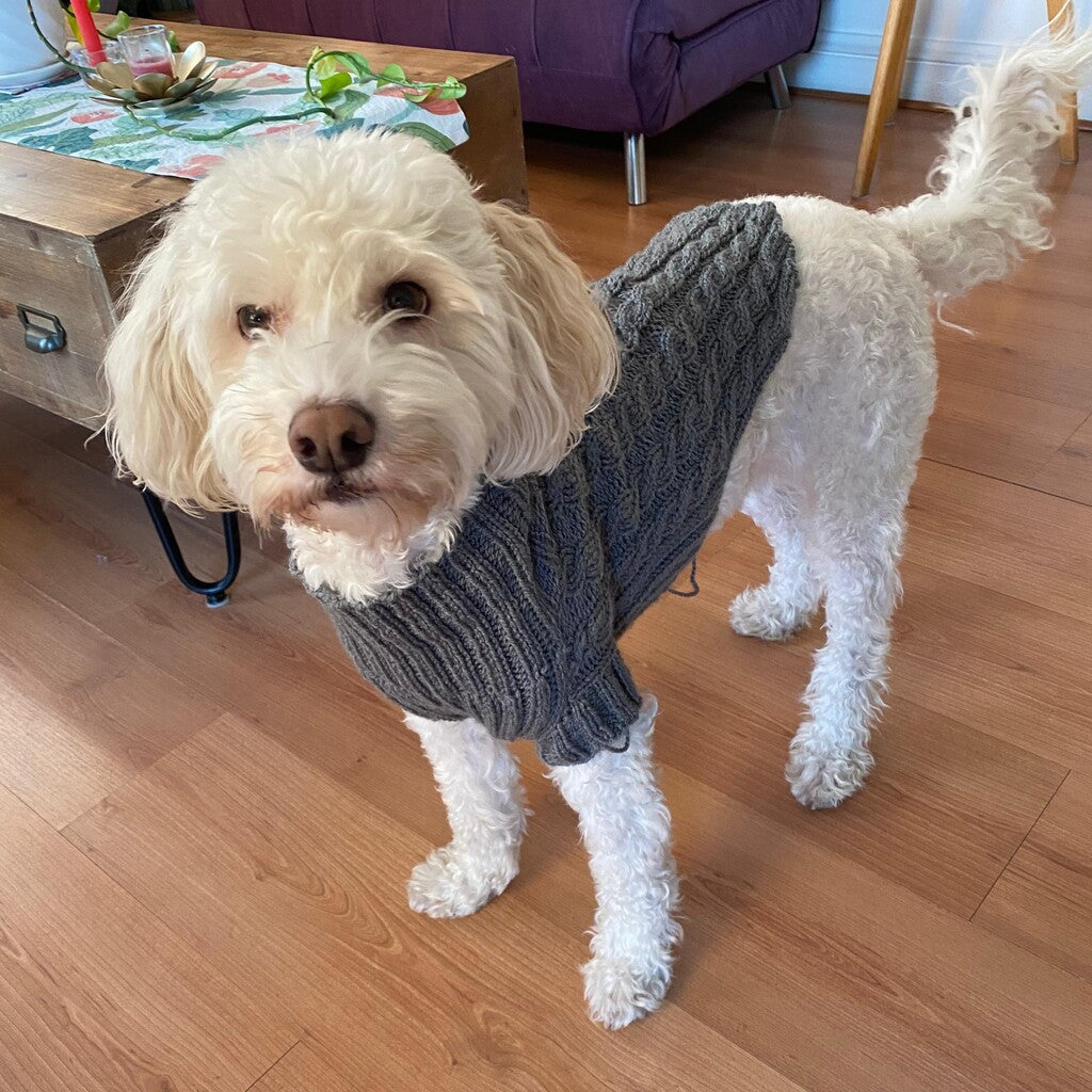 Kit Sweater Compañía | Mascotas