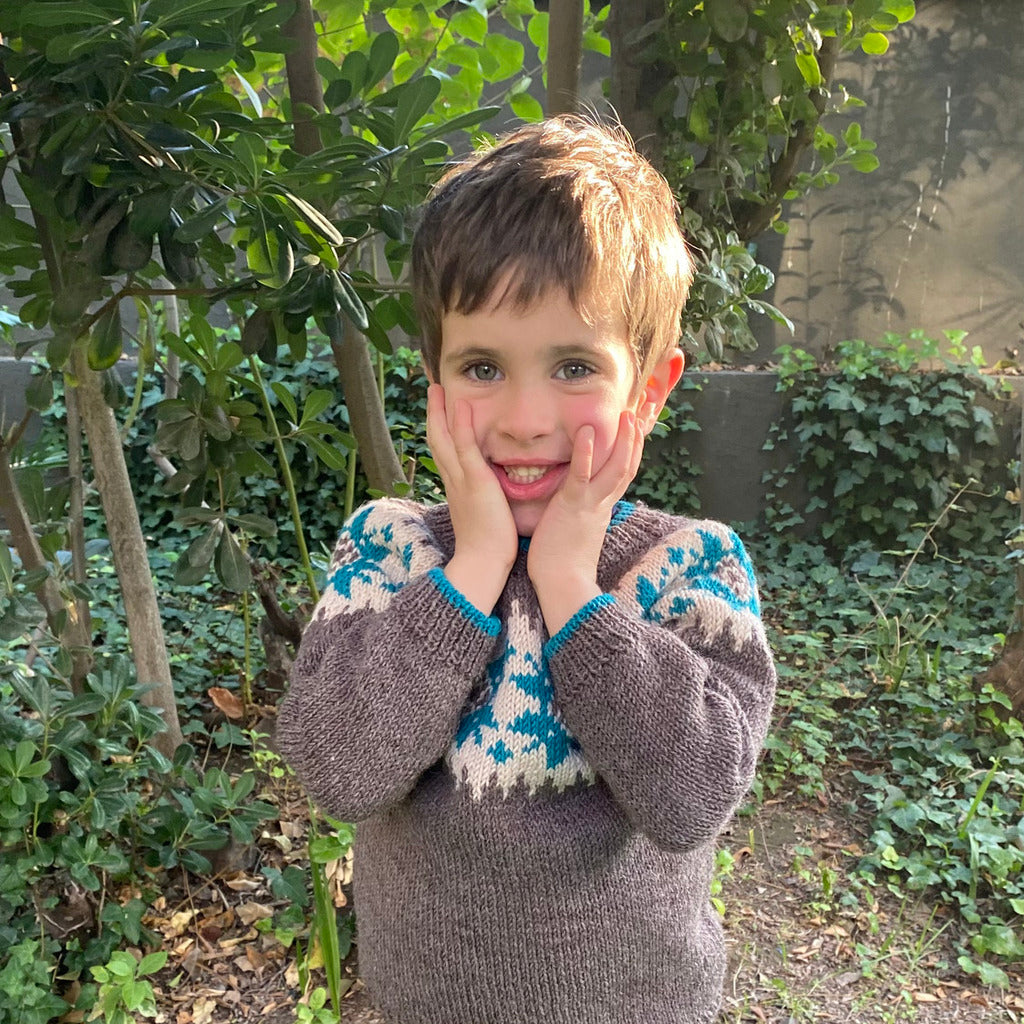 Clase Sweater Portillo | Infantil