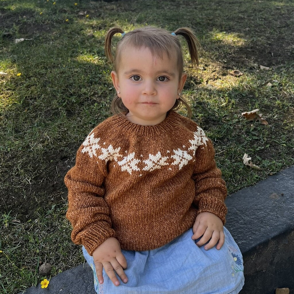 Clase con Patrón Sweater Nieve | Infantil