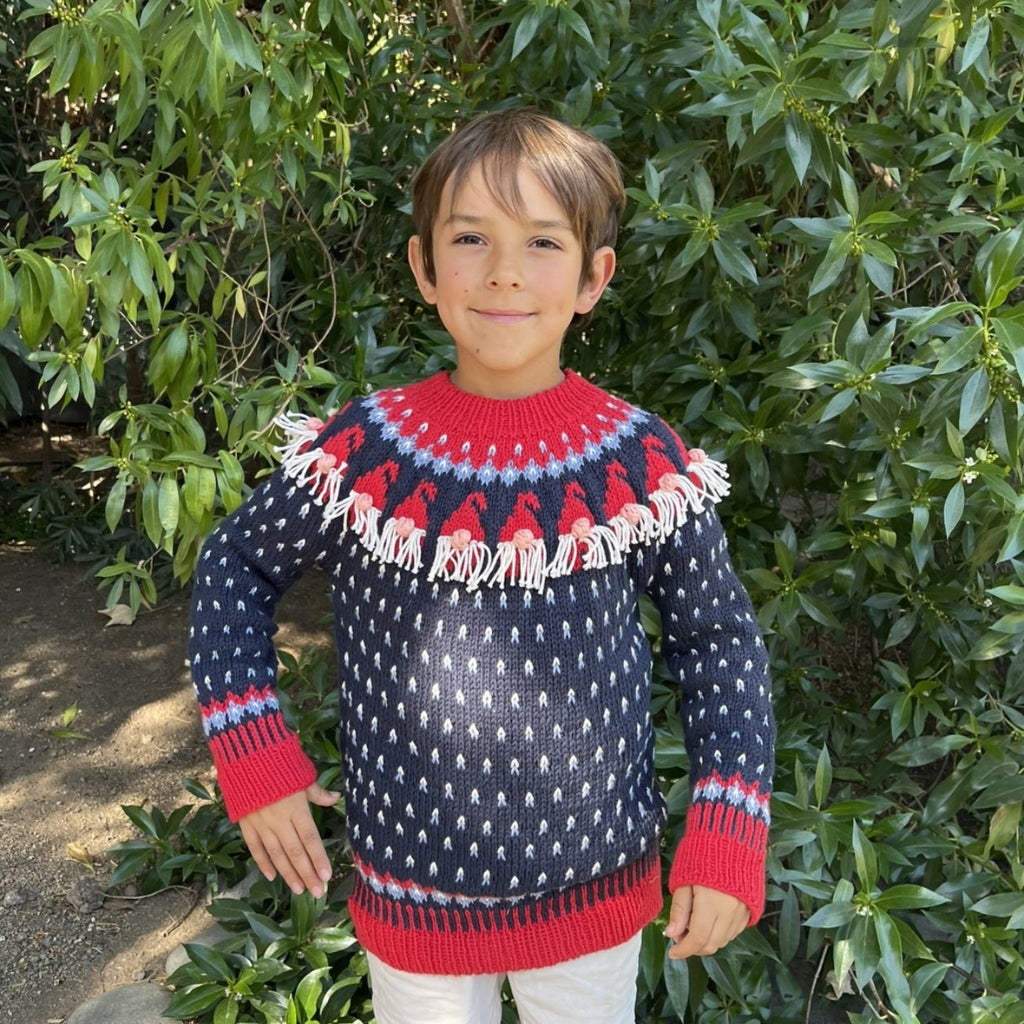 Clase Sweater Gnomos | Infantil
