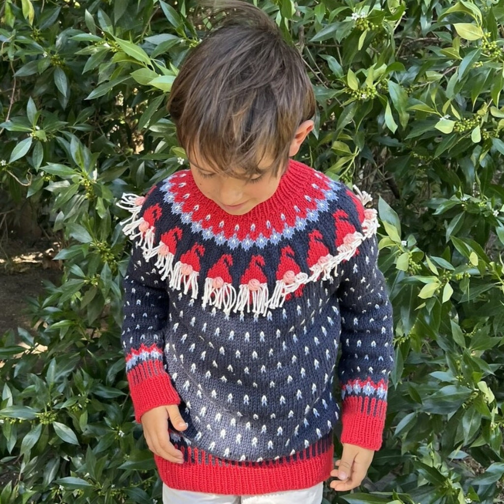 Clase Sweater Gnomos | Infantil
