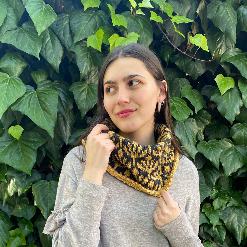 Clase Cuello Imperial | Adulto