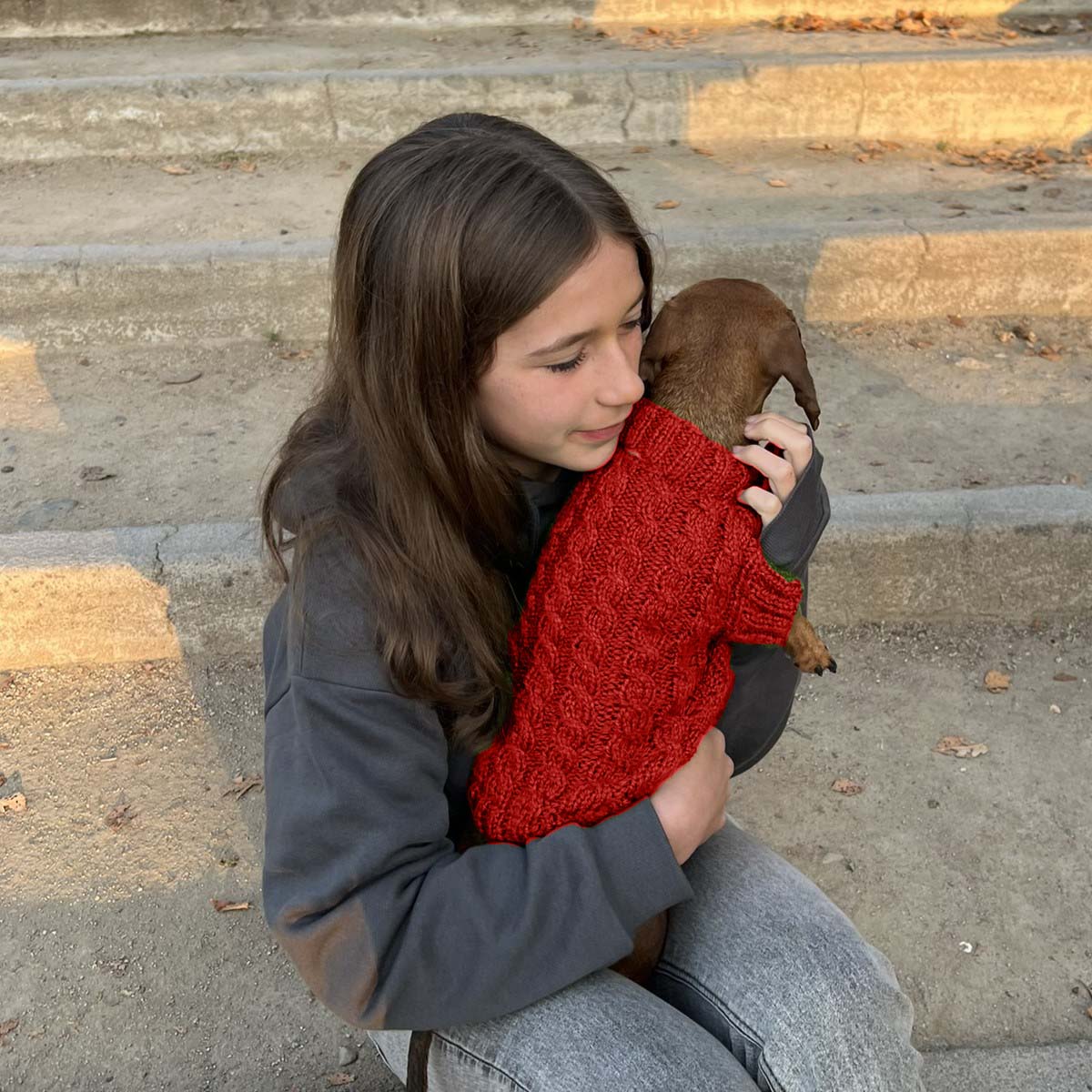 Kit Sweater Compañía | Mascotas