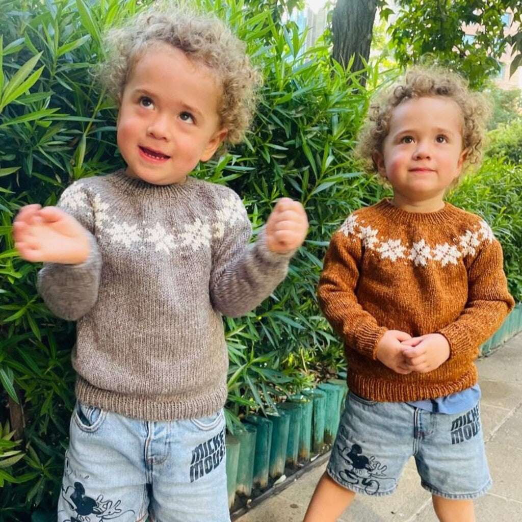 Clase con Patrón Sweater Nieve | Infantil