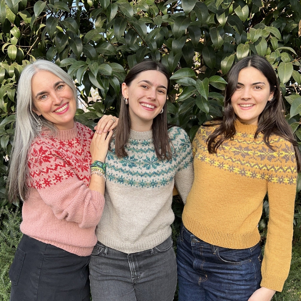 Clase con Patrón Sweater Copos de Nieve | Adulto