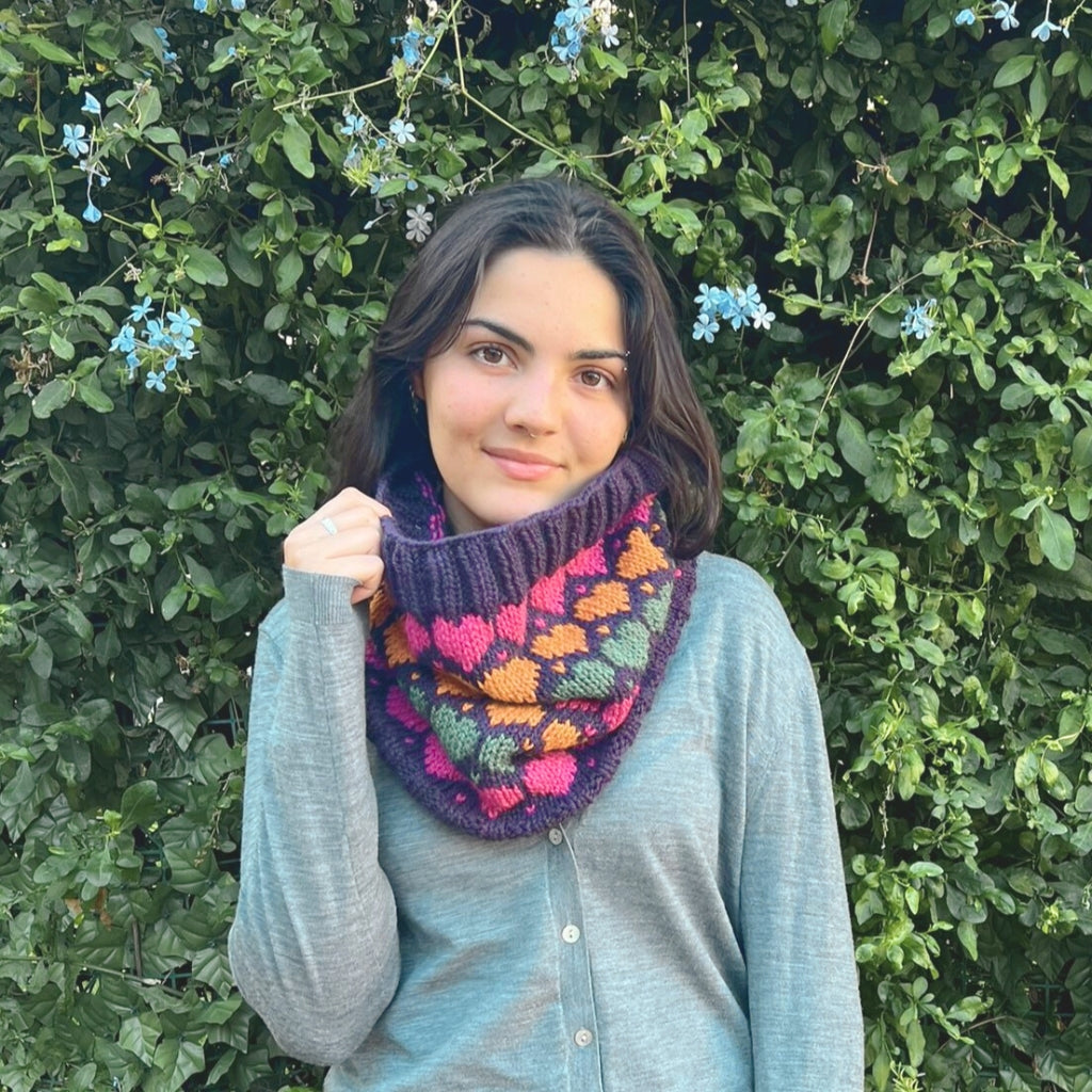 Taller de Tejido Cuello de Jacquard Circular