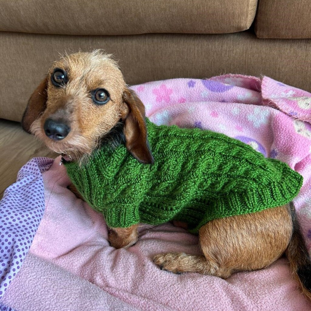 Kit Sweater Compañía | Mascotas