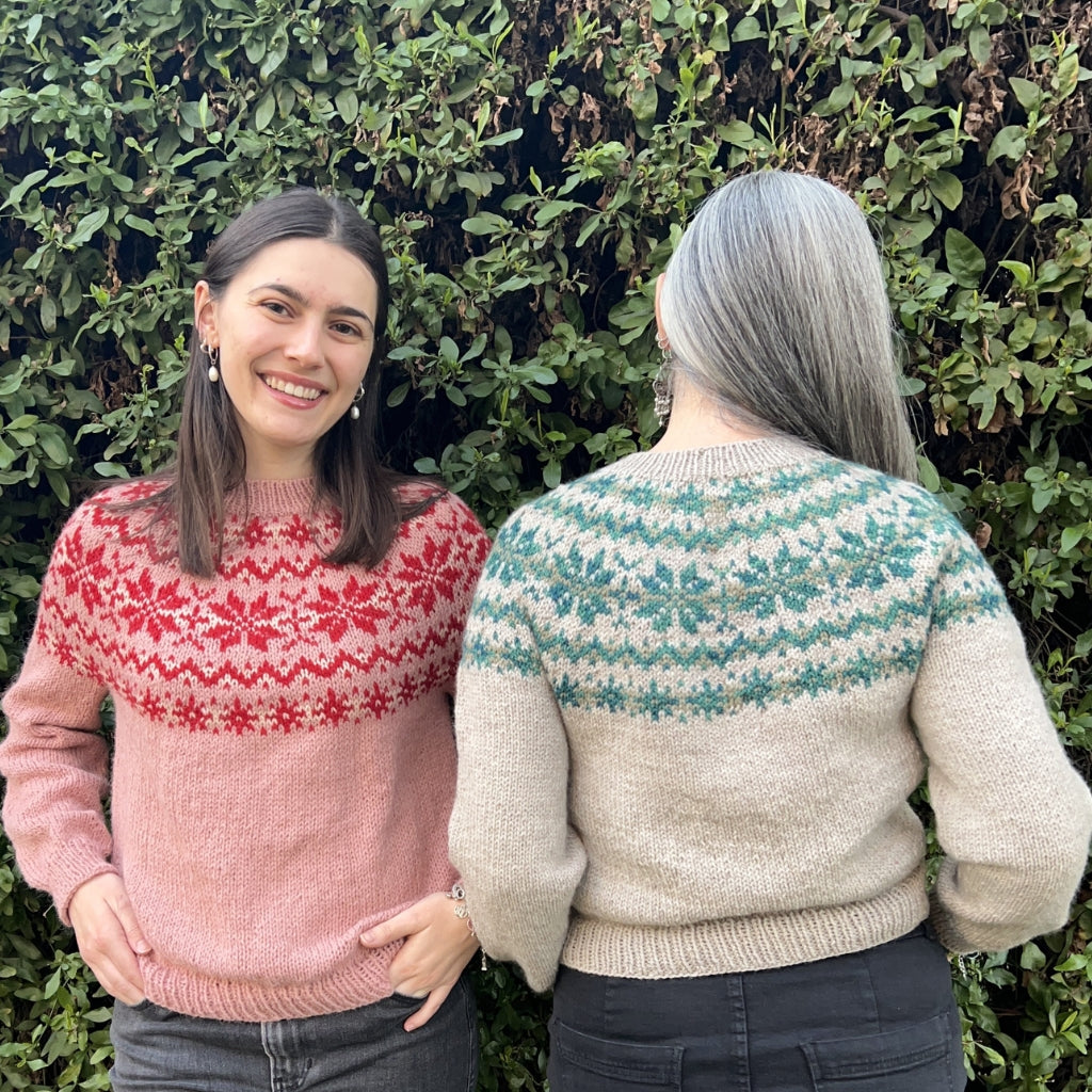 Clase con Patrón Sweater Copos de Nieve | Adulto