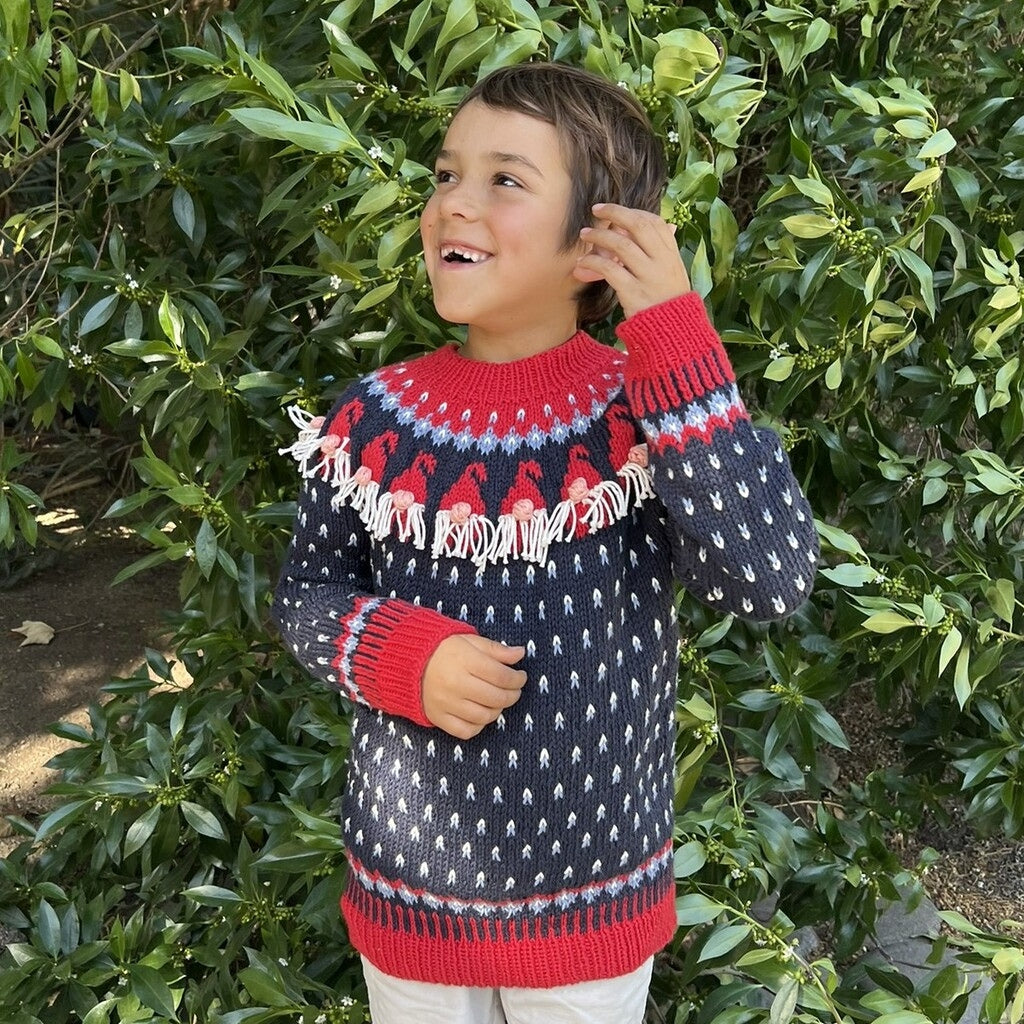 Kit Sweater Gnomos | Infantil