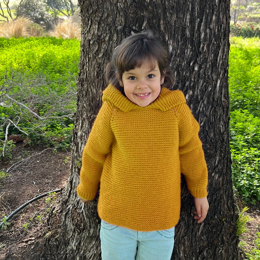Kit Sweater Duende | Infantil