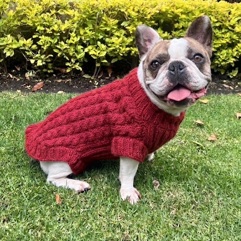 Clase con Patrón Sweater Compañía | Mascotas