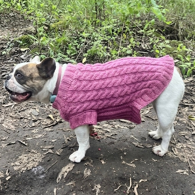 Clase con Patrón Sweater Compañía | Mascotas