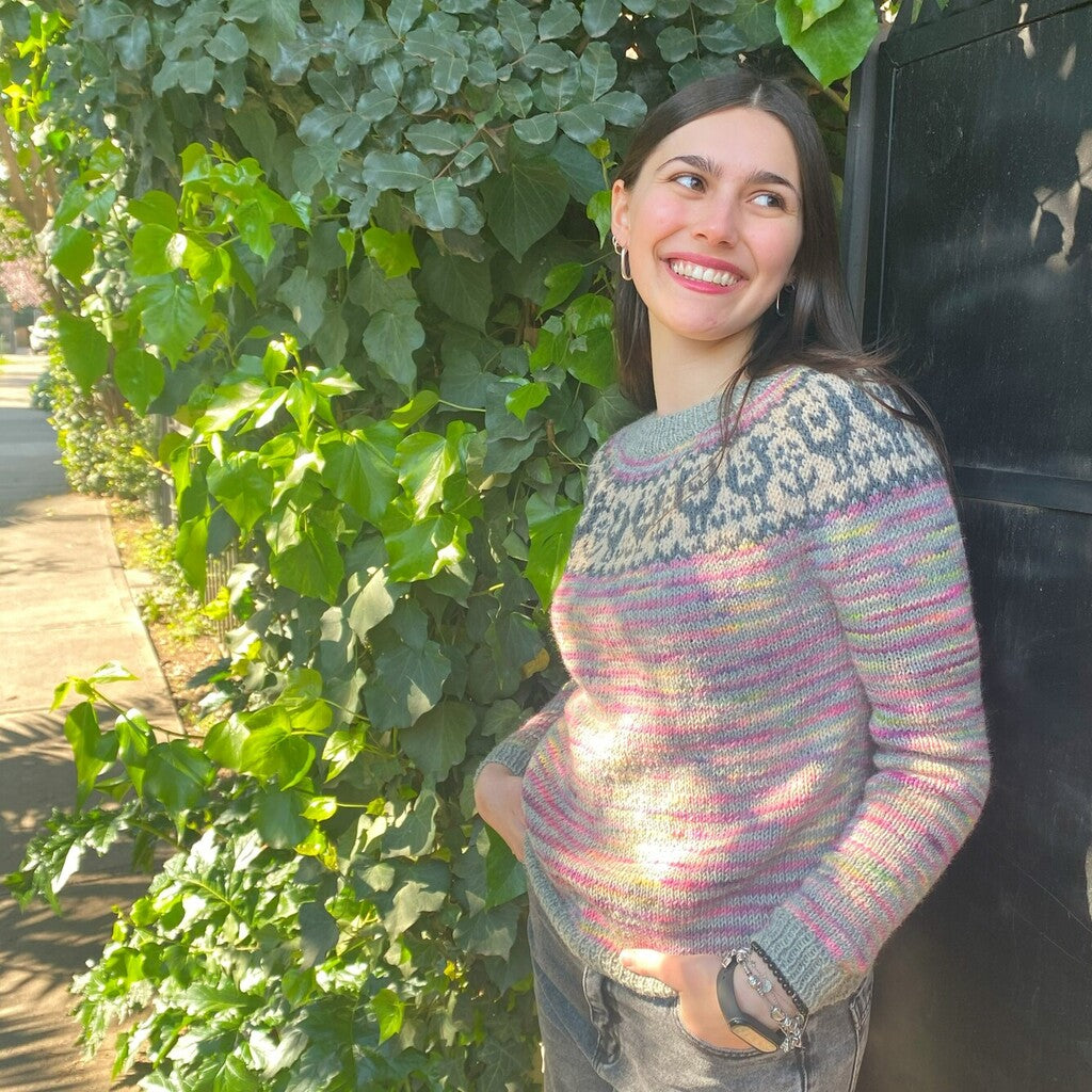 Clase Chaleco y Sweater Grullas | Adulto