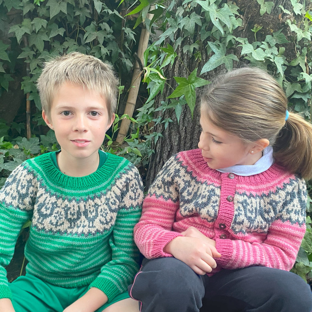 Clase Chaleco y Sweater Grullas | Infantil