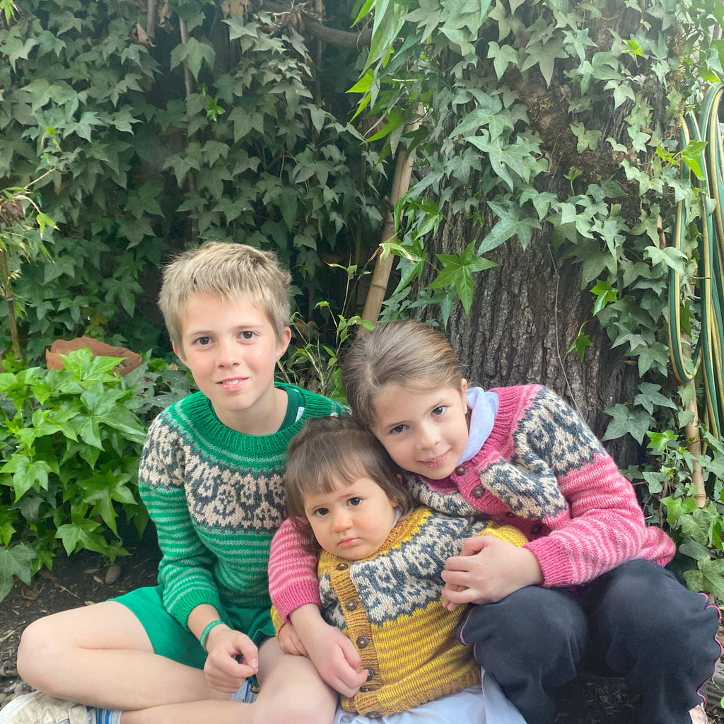 Clase Chaleco y Sweater Grullas | Infantil