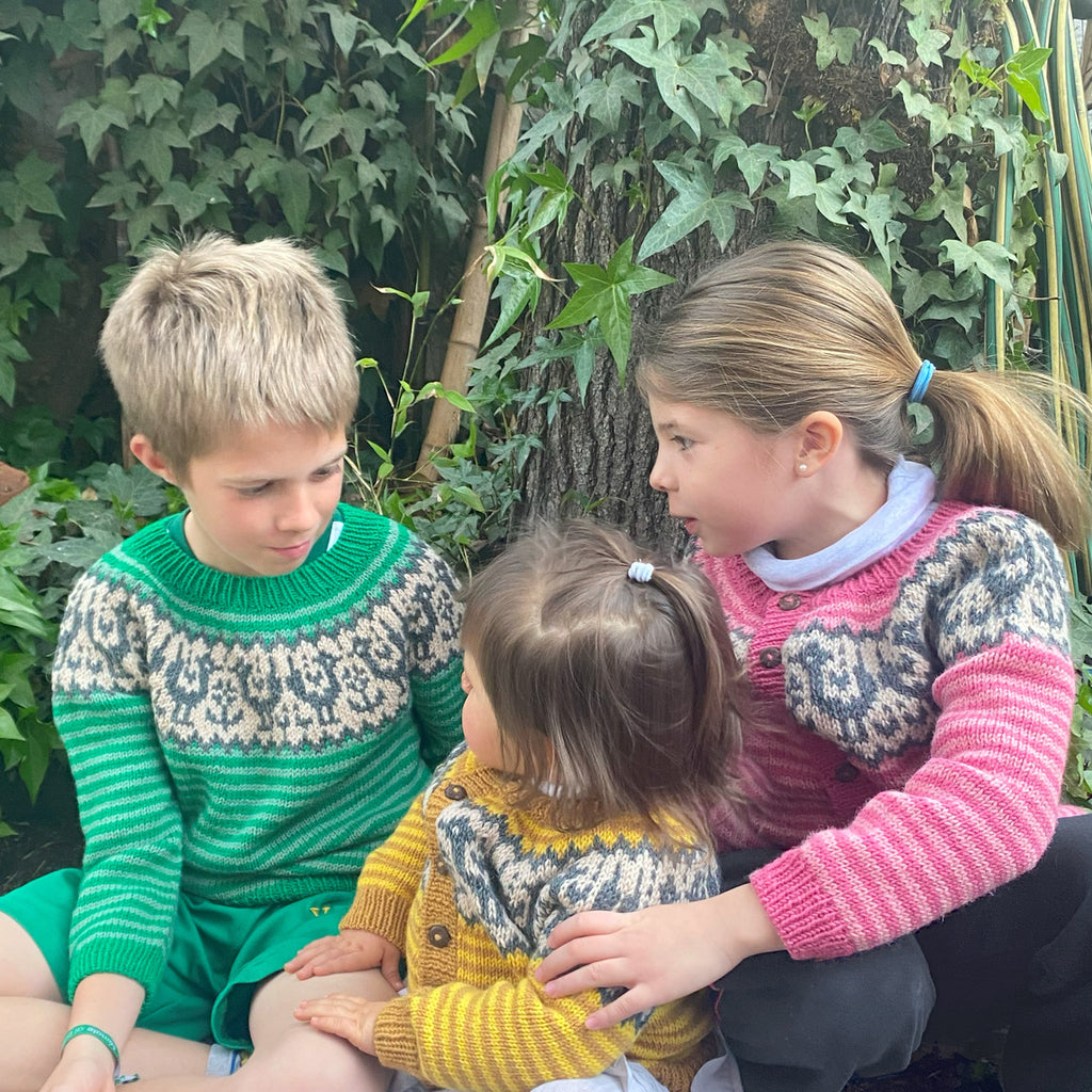 Clase Chaleco y Sweater Grullas | Infantil