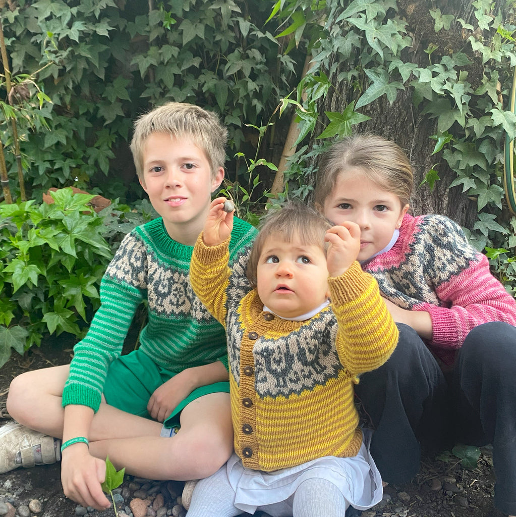 Clase Chaleco y Sweater Grullas | Infantil