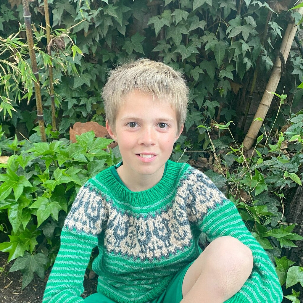 Clase Chaleco y Sweater Grullas | Infantil