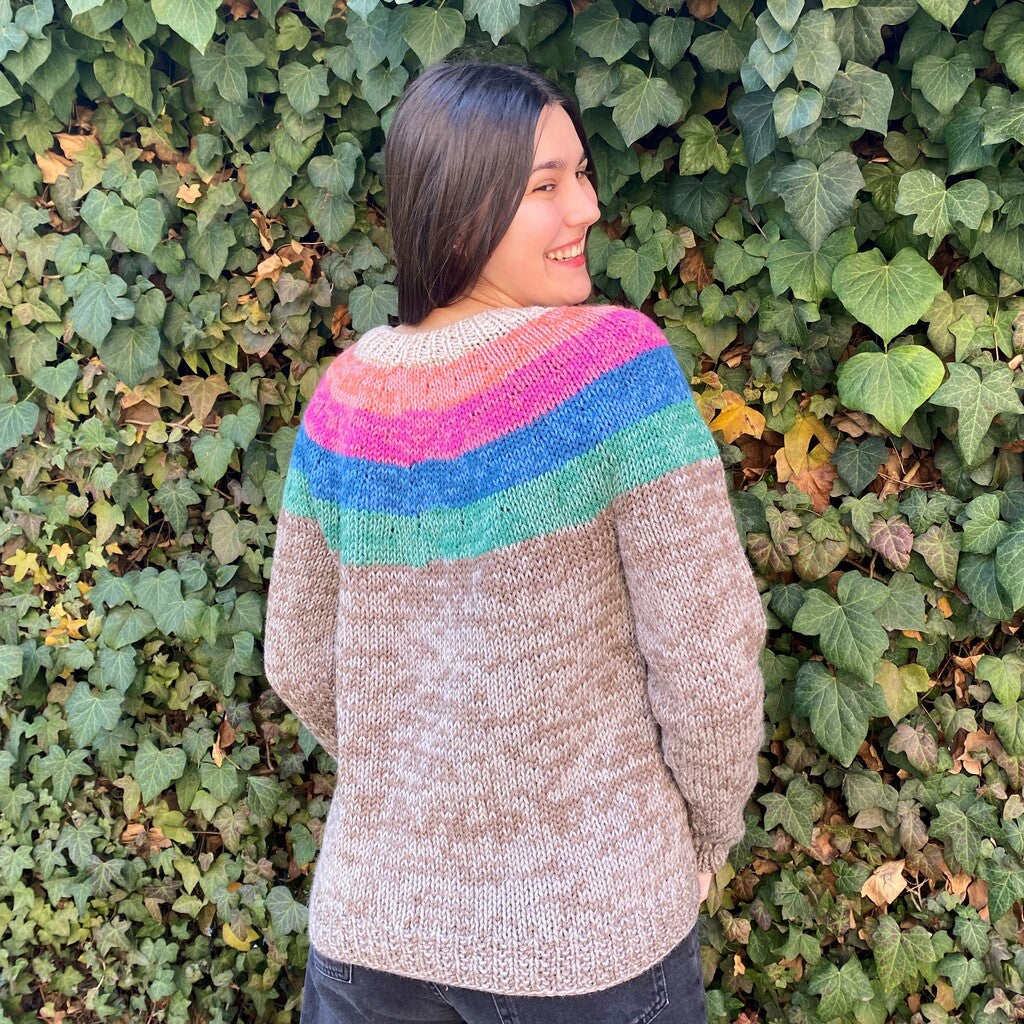 Clase Sweater Arcoíris | Adulto