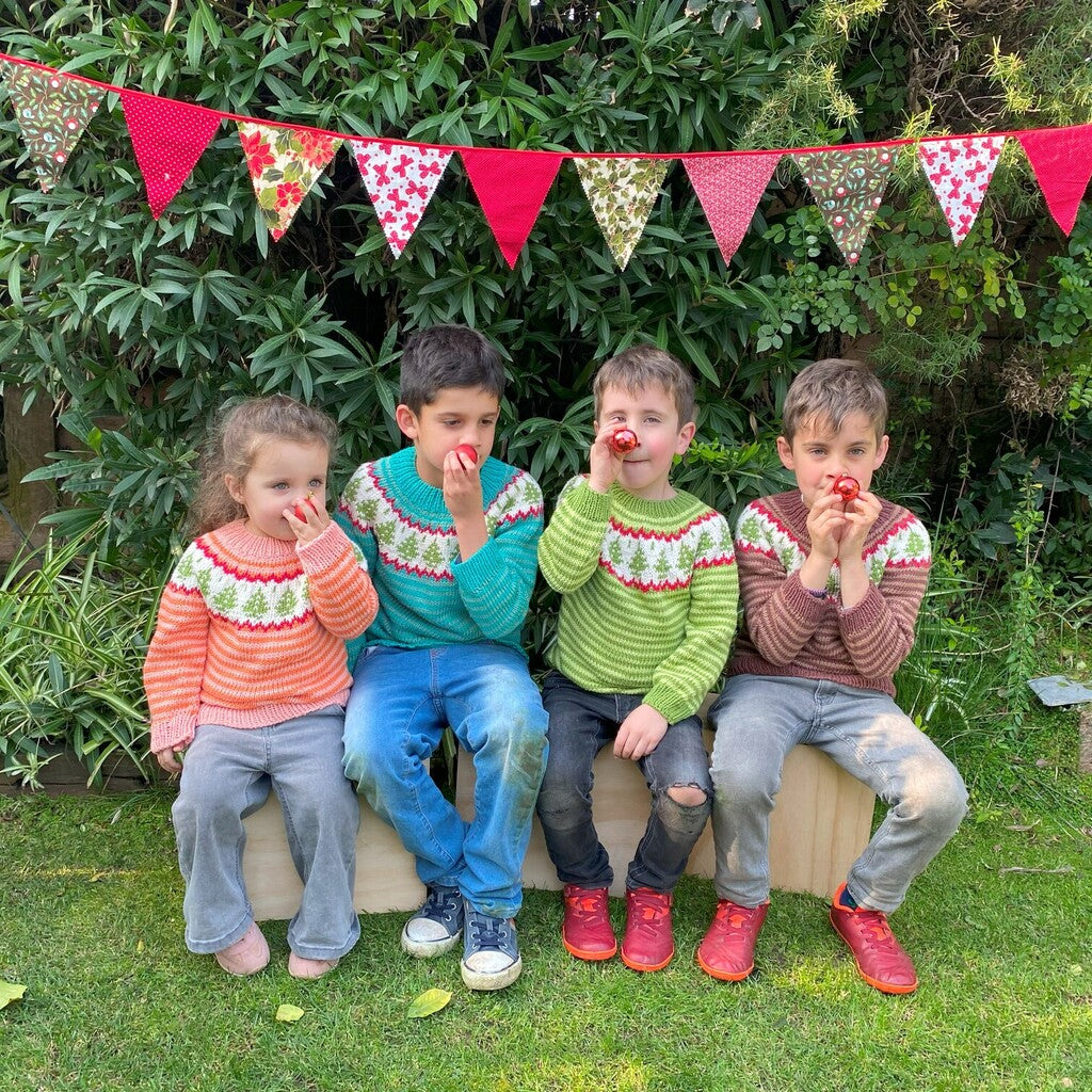 Clase Sweater Abetos | Infantil