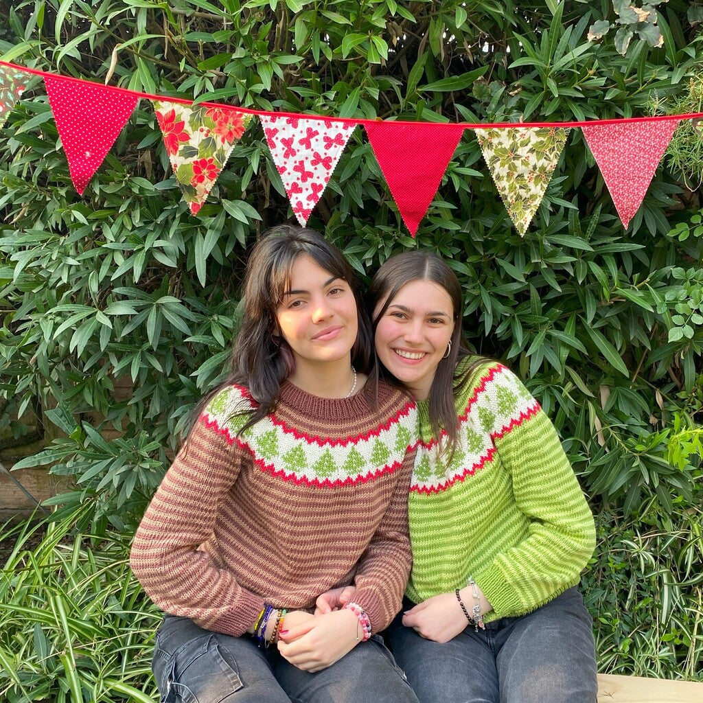 Clase Sweater Abetos | Adulto e Infantil