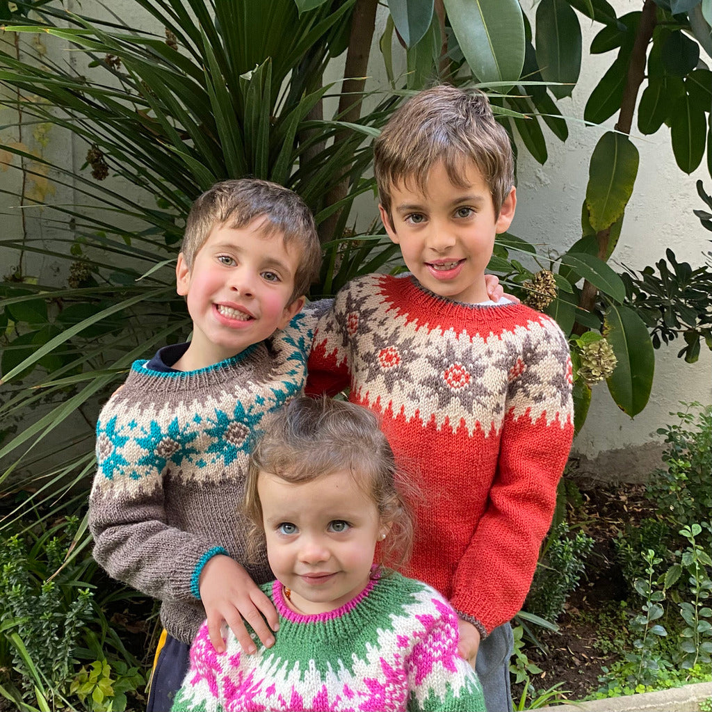 Clase Sweater Portillo | Infantil