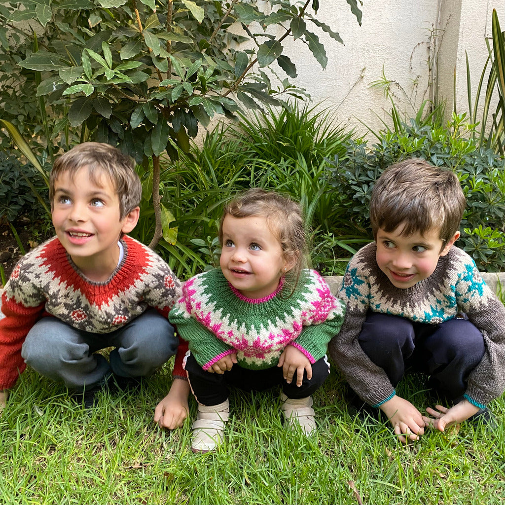 Clase Sweater Portillo | Infantil