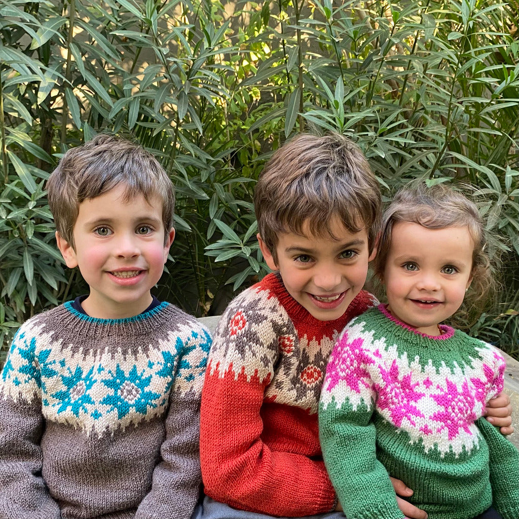 Clase Sweater Portillo | Adulto e Infantil