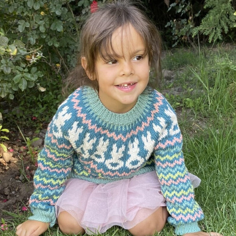 Clase Sweater Conejos | Infantil