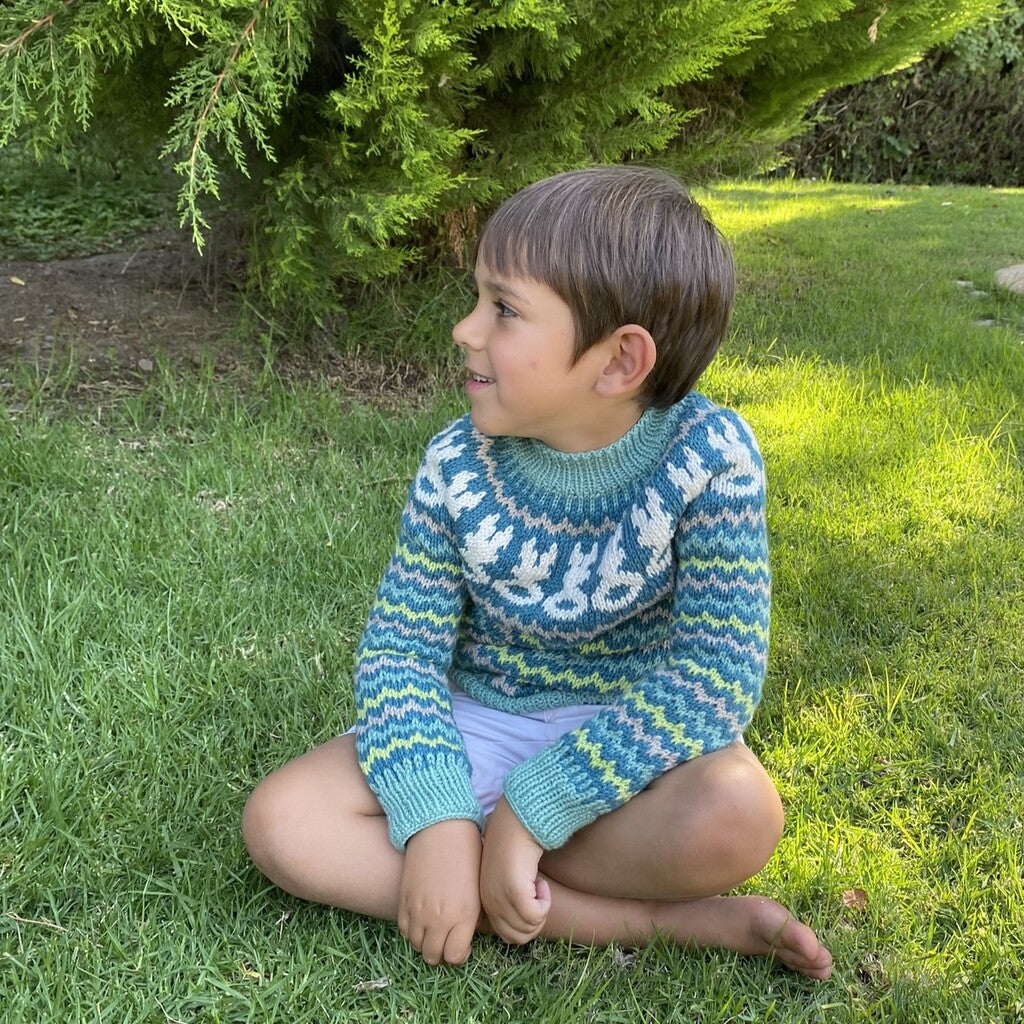 Clase Sweater Conejos | Infantil