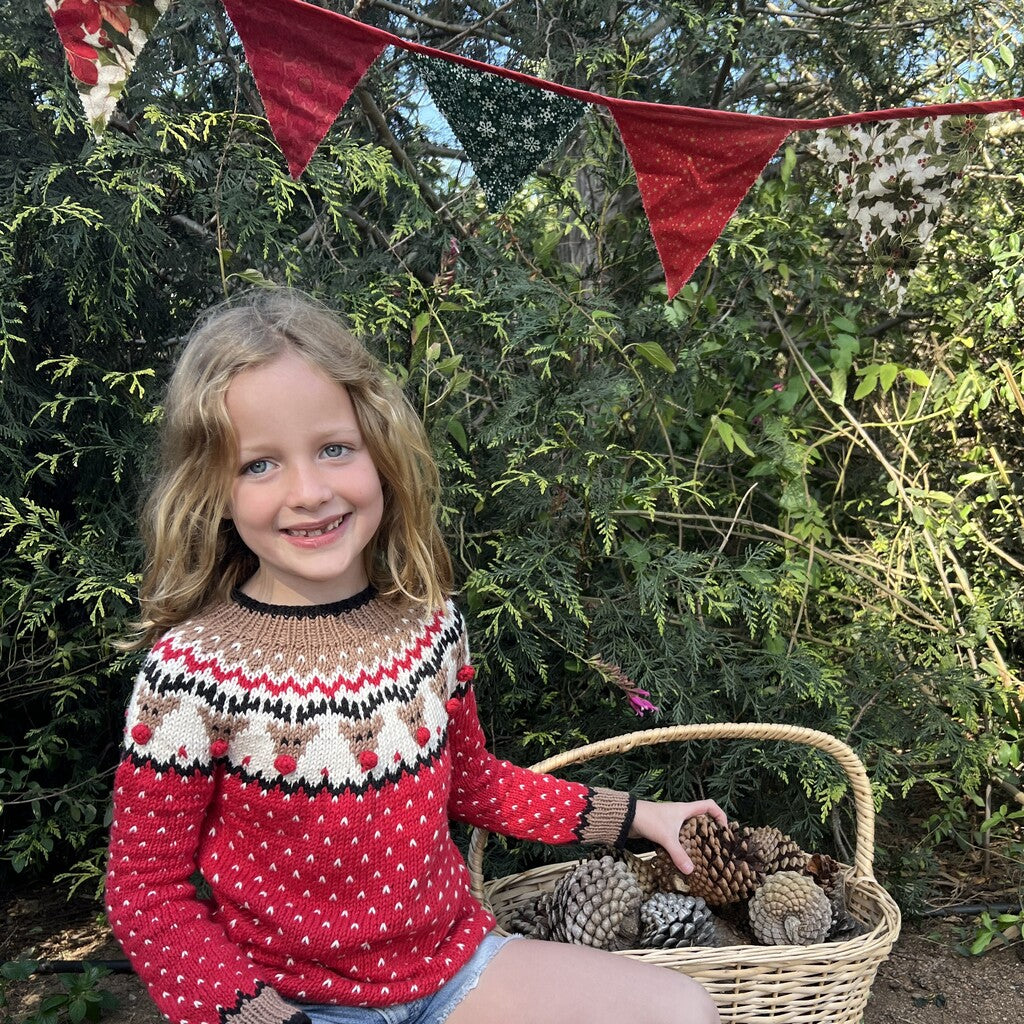 Kit Sweater Renos | Infantil