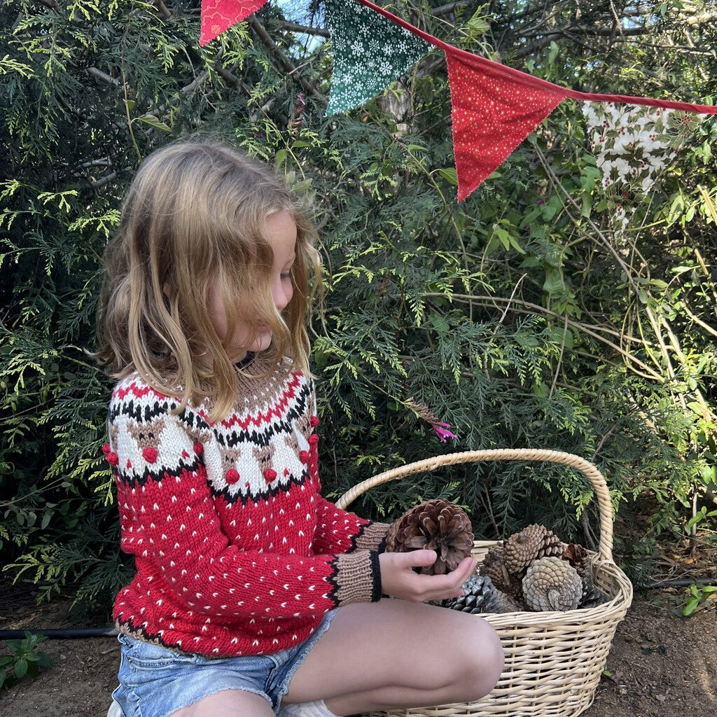 Kit Sweater Renos | Infantil