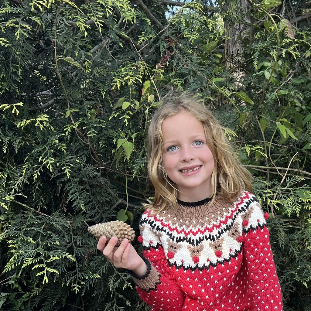 Kit Sweater Renos | Infantil