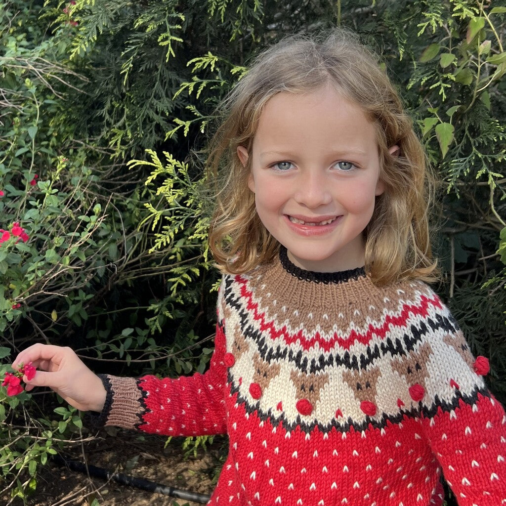 Kit Sweater Renos | Infantil