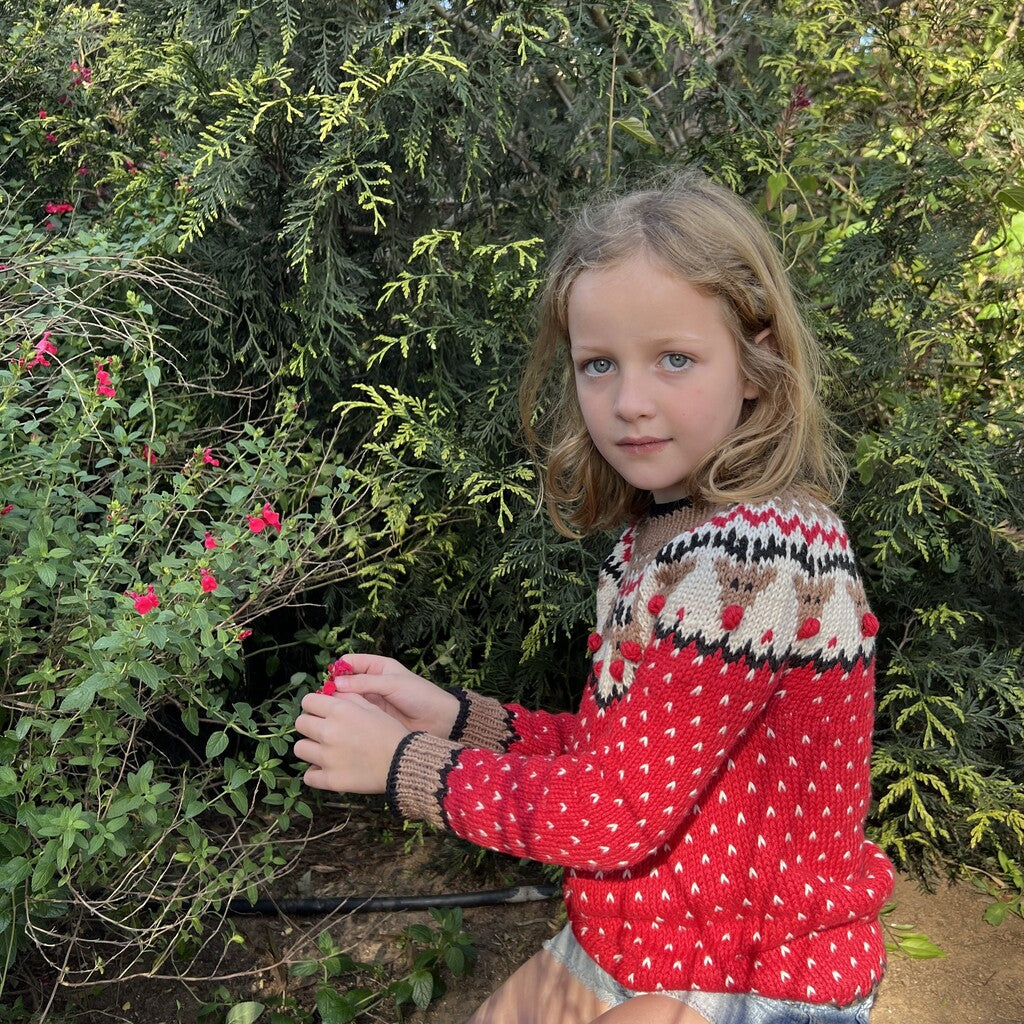 Kit Sweater Renos | Infantil