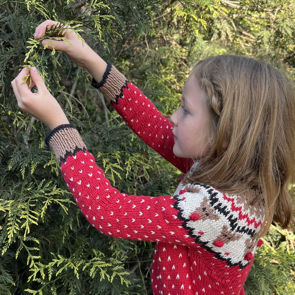 Kit Sweater Renos | Infantil