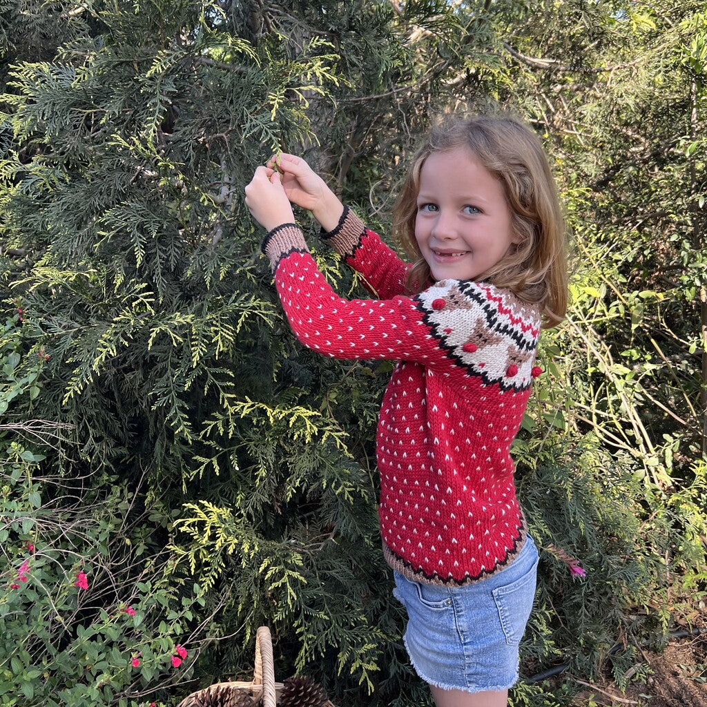 Kit Sweater Renos | Infantil