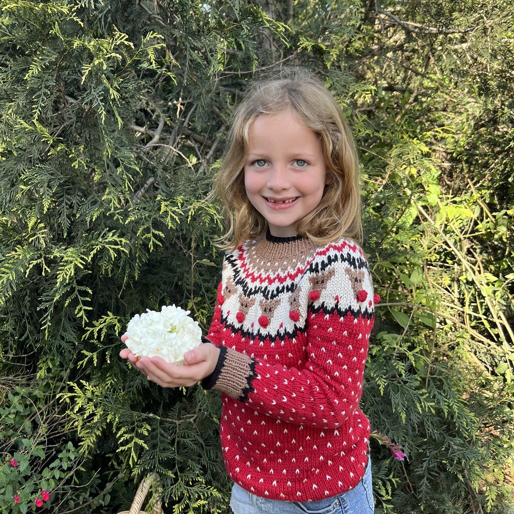 Kit Sweater Renos | Infantil