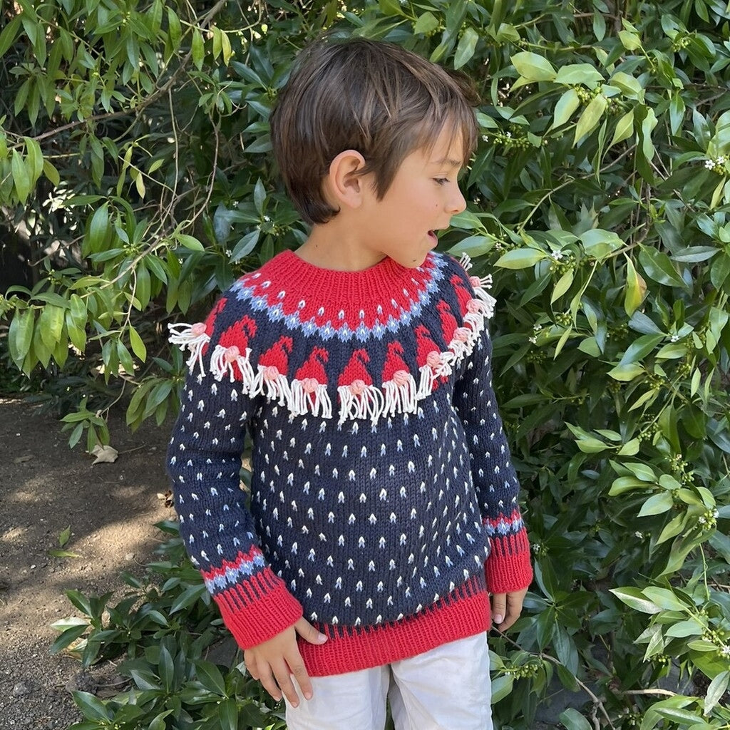 Kit Sweater Gnomos | Infantil