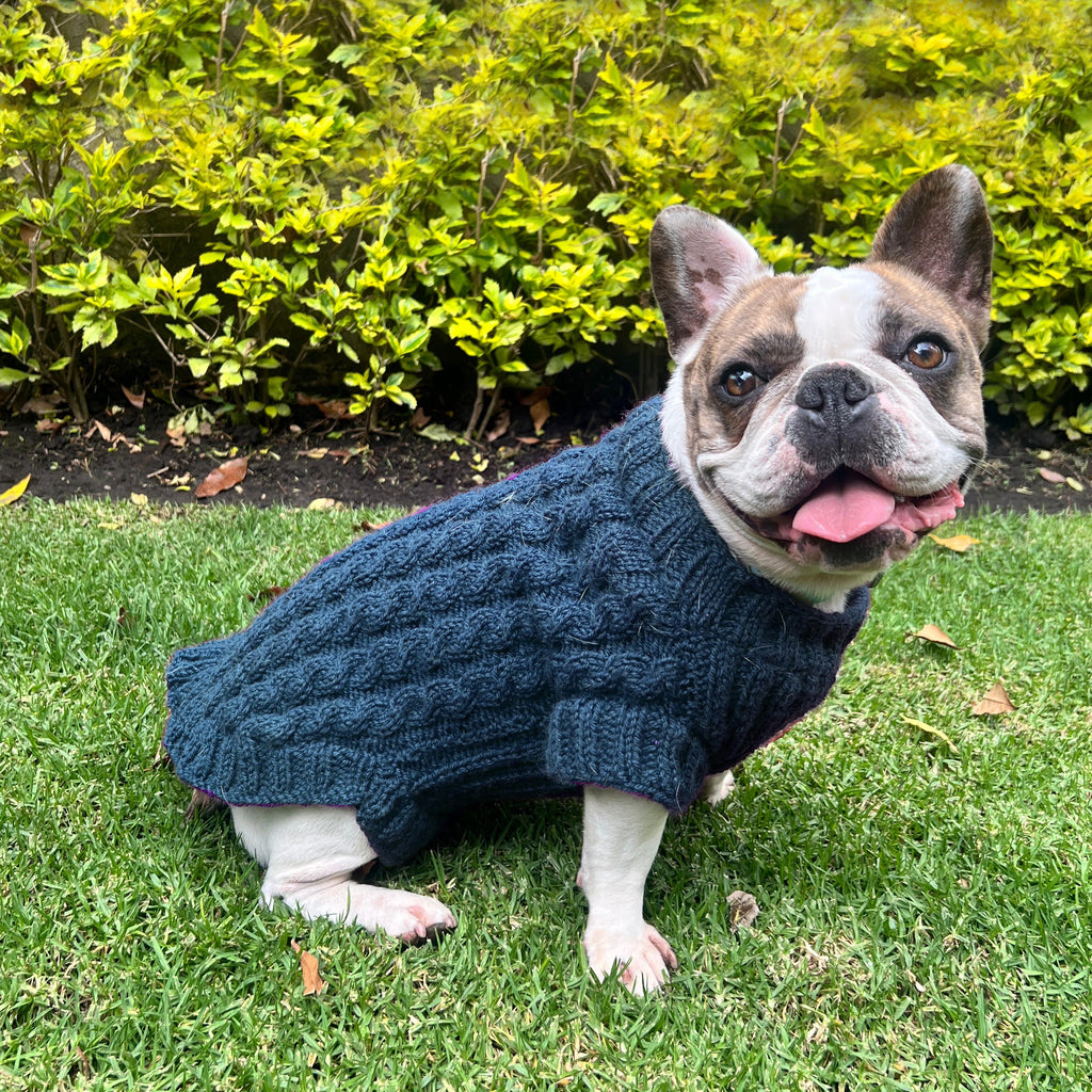 Kit Sweater Compañía | Mascotas