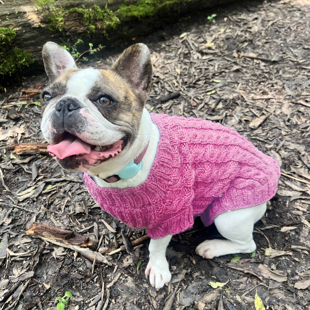 Kit Sweater Compañía | Mascotas