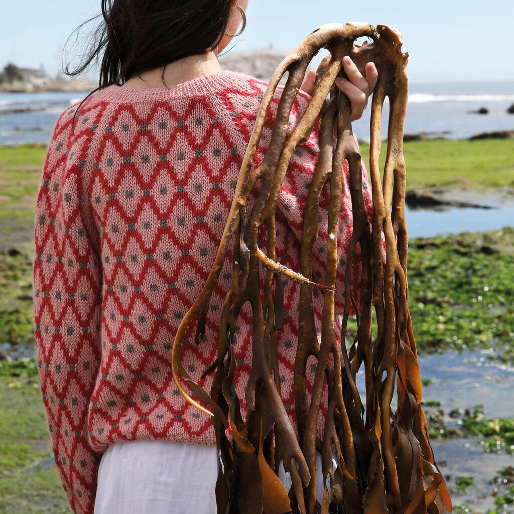 Libro Marino - Tejer Jacquard | Autografiado