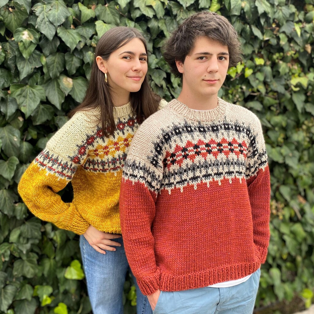 Patrón Sweater Terra Jacquard | Adulto