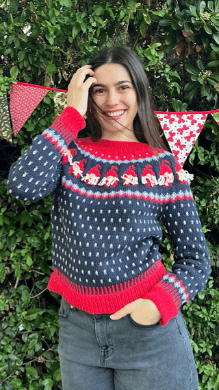 Kit Sweater Gnomos | Adulto